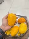 Mehul